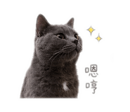 839721325