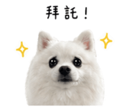 839721996