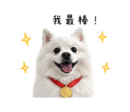 839722003
