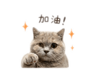 839722441