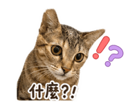 839723682
