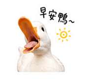 839724049