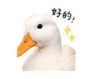 839724053