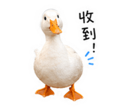 839724054