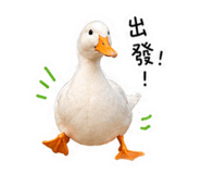 839724056
