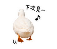 839724063