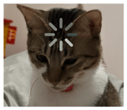839727833