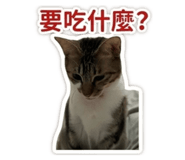 839727848
