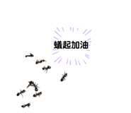 839727961