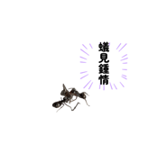 839727962