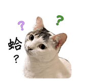 839728126