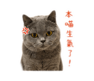 839728316