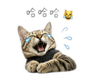 839728662