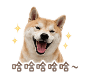 839728715