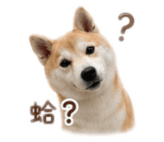 839728721