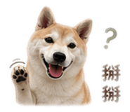 839728734