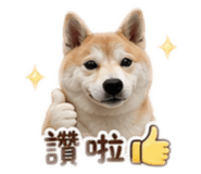 839728737