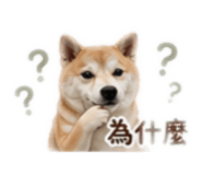 839728739
