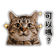 839729110