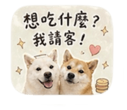 839729350