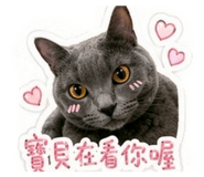 839729705