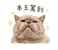 839729972