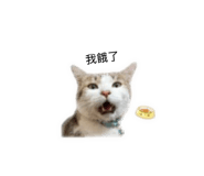 839730027