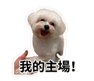 839730033