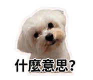 839730047