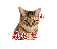 839730066