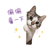 839730248