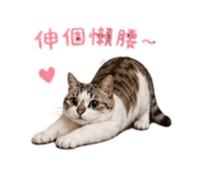 839730255