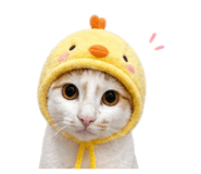 839730639