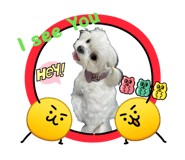 839730786