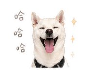 839730858
