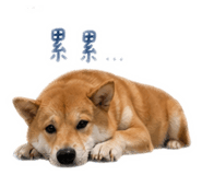 839730925