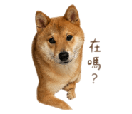 839730935