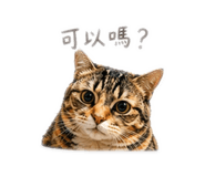 839731138