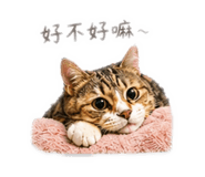 839731139