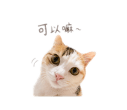 839731144