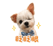 839731516