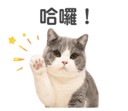 839732282