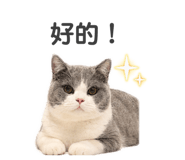 839732284