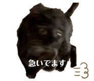 839732321
