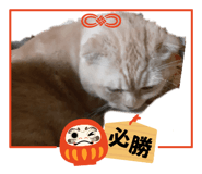 839732335