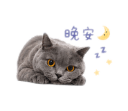 839733266