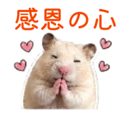 839733456