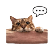 839733574