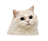 839734264