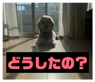 839734672
